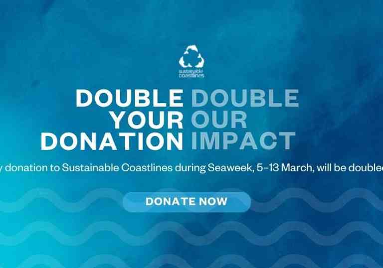 SCF Container Solutions - Sustainable Coastlines - Double Impact